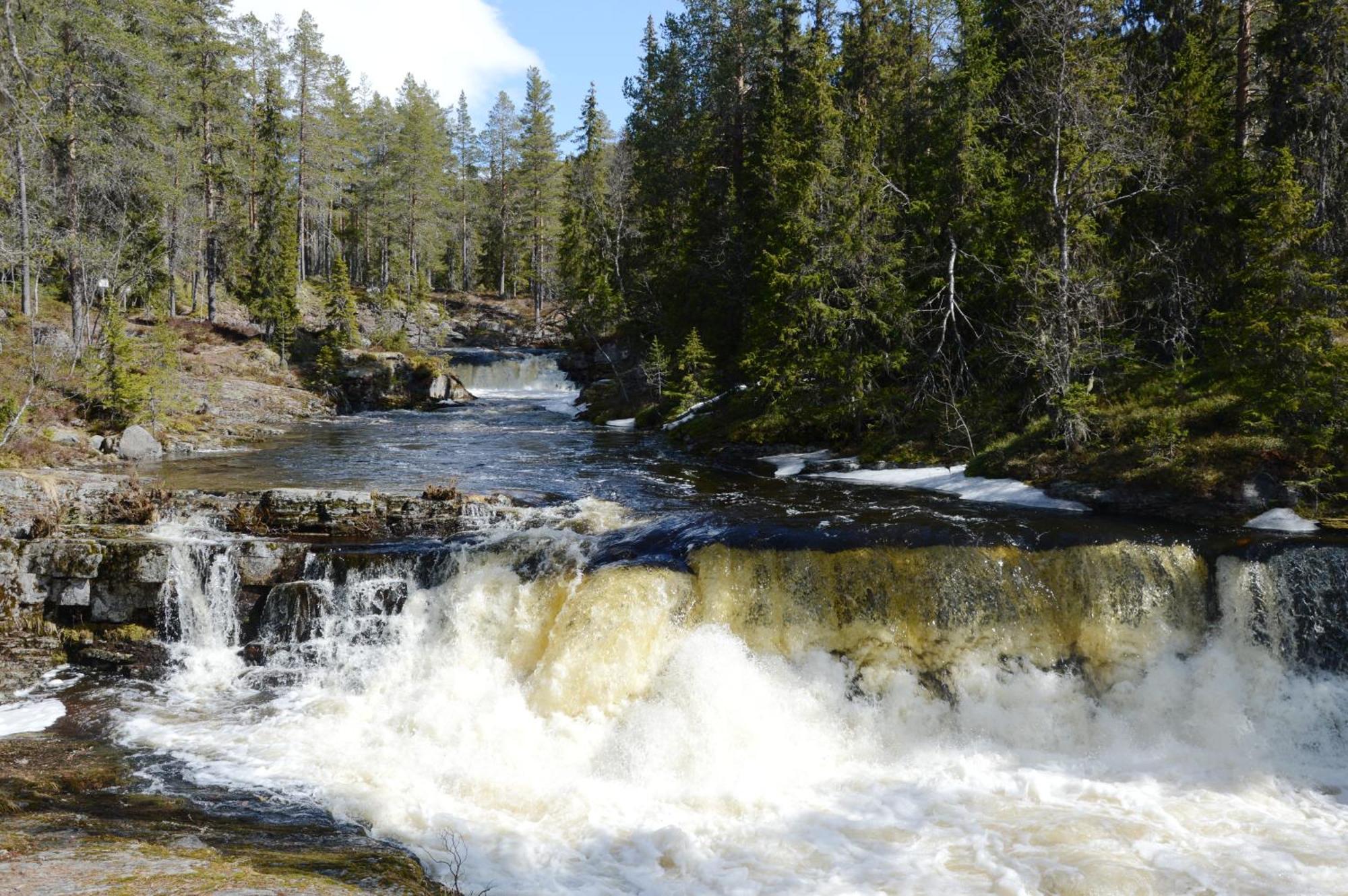 16 - Fulufjellets Nasjonalparker - Natur-, Dyre- Og Fugleopplevelser Ljørdal Exterior foto