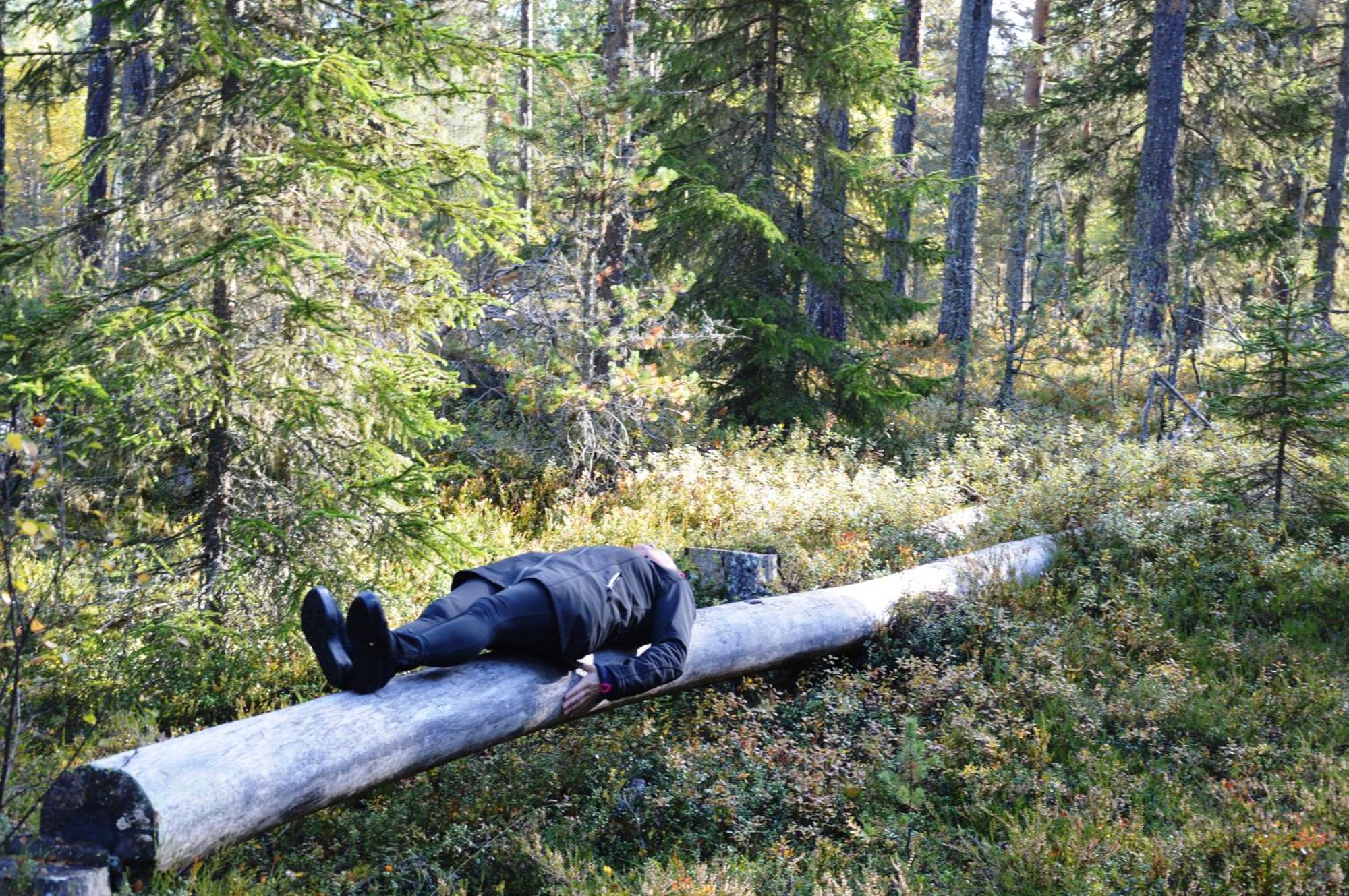 16 - Fulufjellets Nasjonalparker - Natur-, Dyre- Og Fugleopplevelser Ljørdal Exterior foto