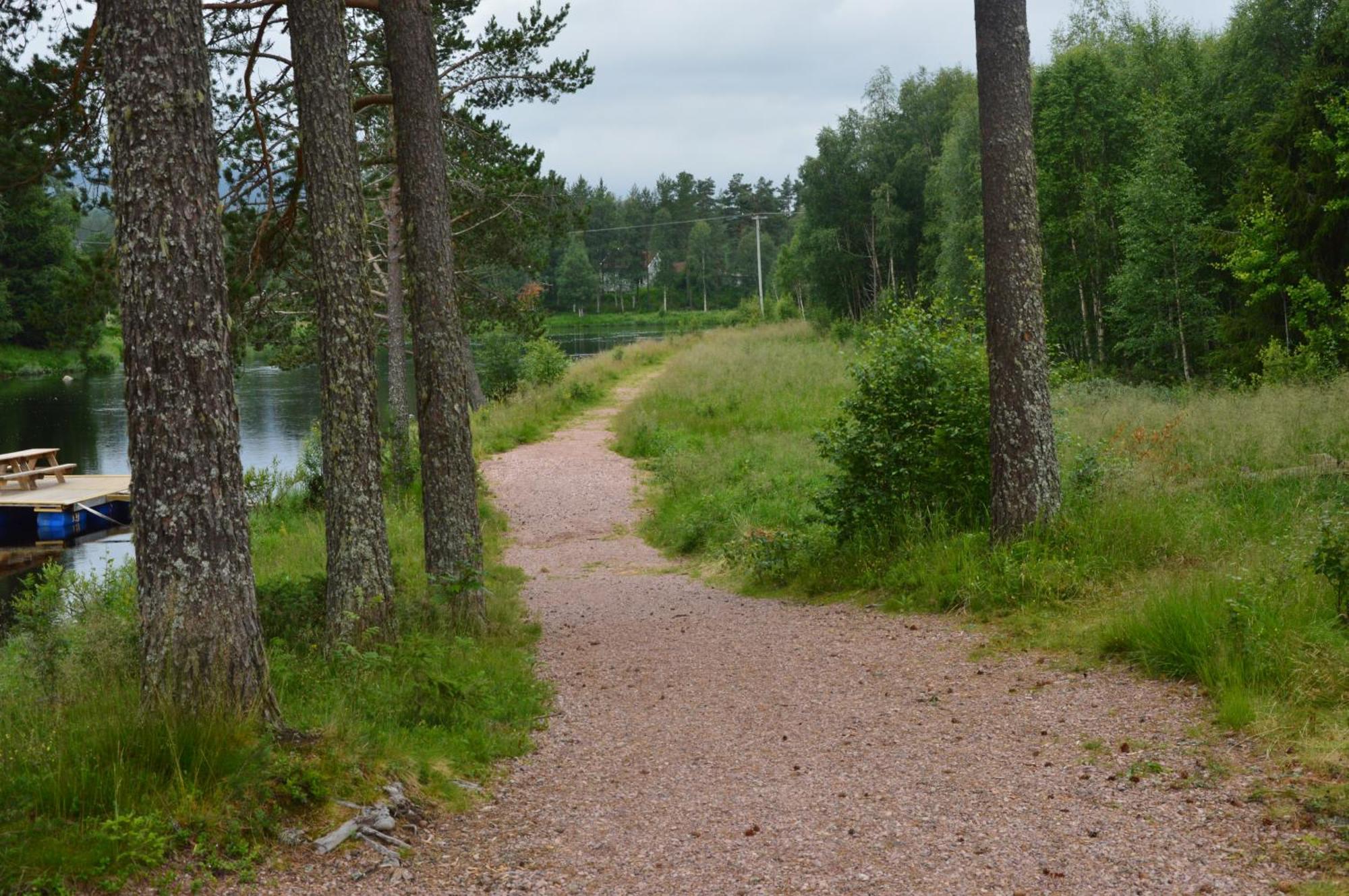 16 - Fulufjellets Nasjonalparker - Natur-, Dyre- Og Fugleopplevelser Ljørdal Exterior foto