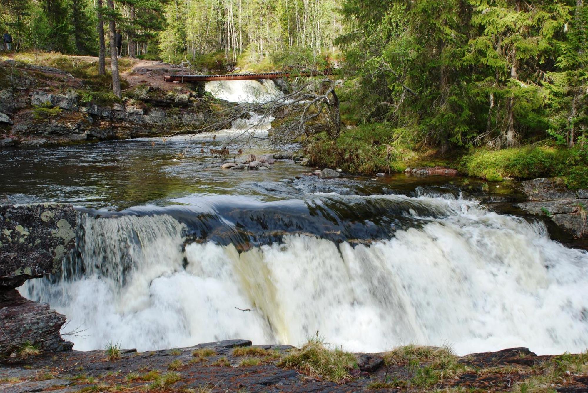 16 - Fulufjellets Nasjonalparker - Natur-, Dyre- Og Fugleopplevelser Ljørdal Exterior foto
